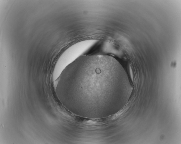 X0000094210180200711021124