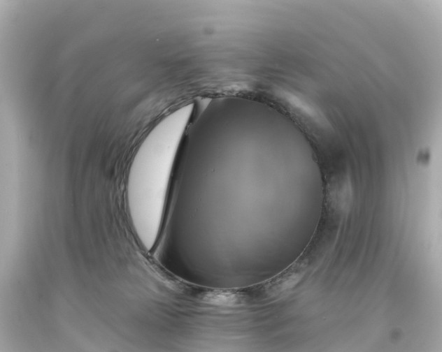 X0000094210181200711021124