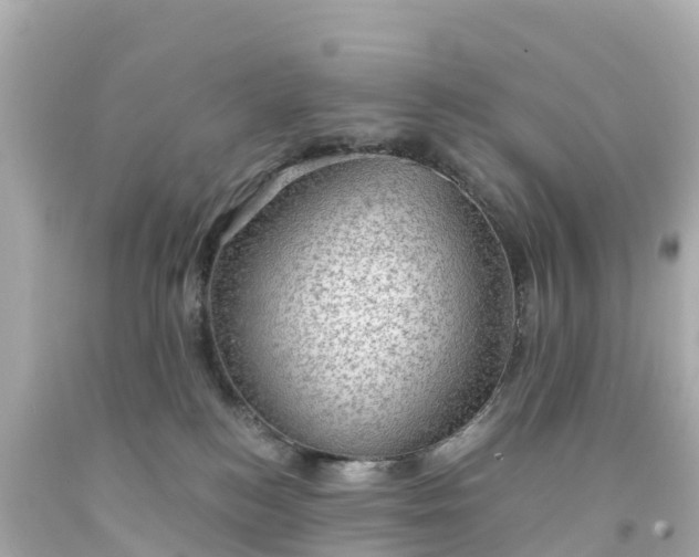 X0000094210184200711021124