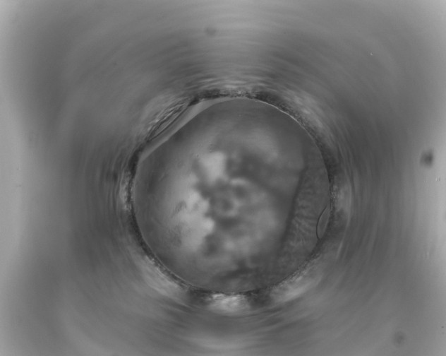 X0000094210185200711021124