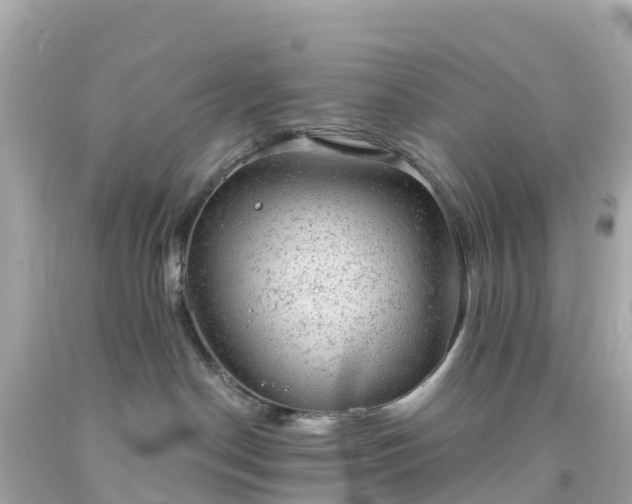 X0000094210190200711021124