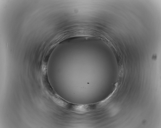 X0000094210191200711021124