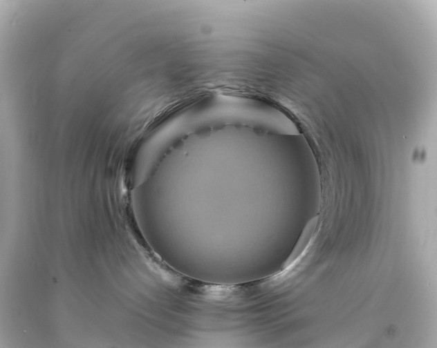 X0000094210192200711021124