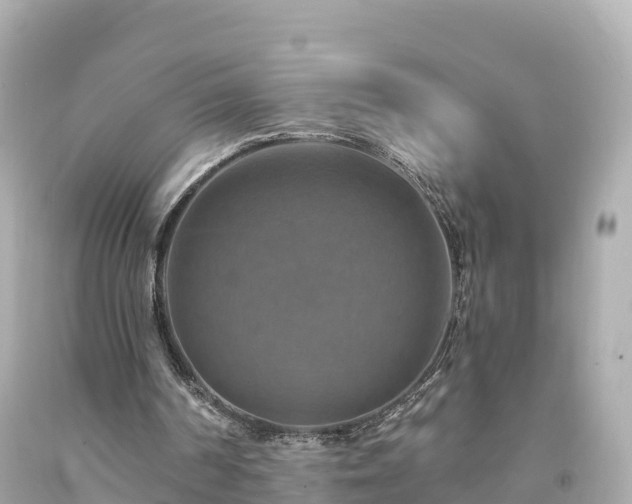 X0000094210194200711021123