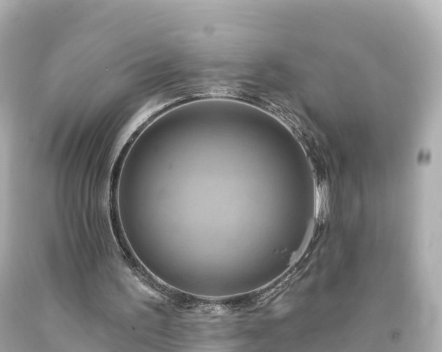 X0000094210195200711021123