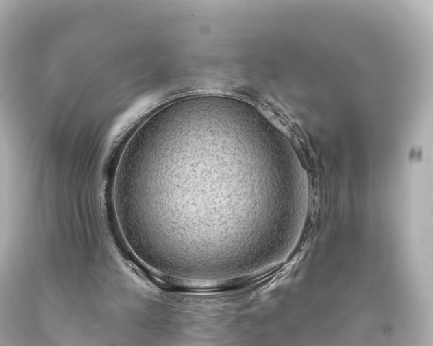 X0000094210197200711021123