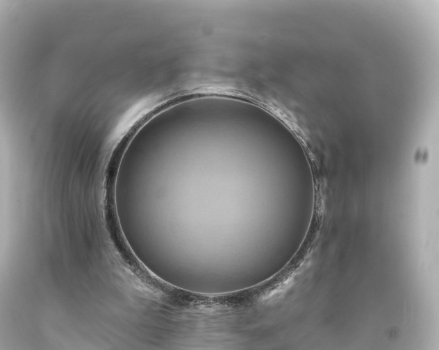 X0000094210199200711021123