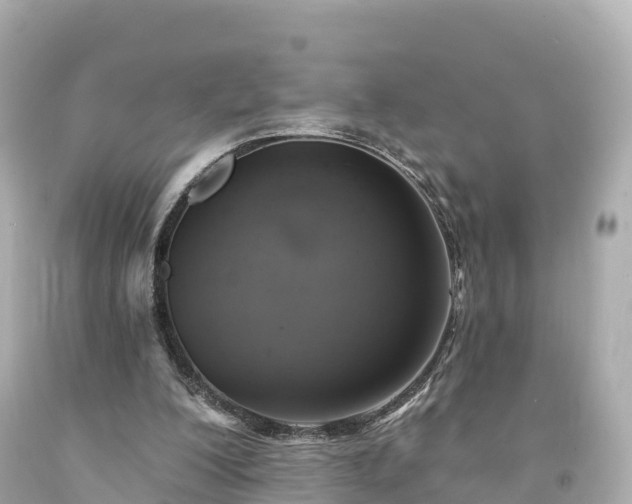 X0000094210200200711021123