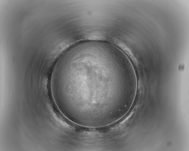 X0000094210201200711021123