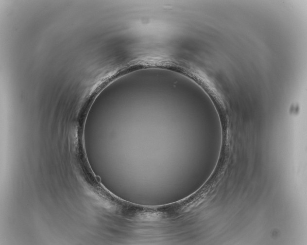 X0000094210202200711021123