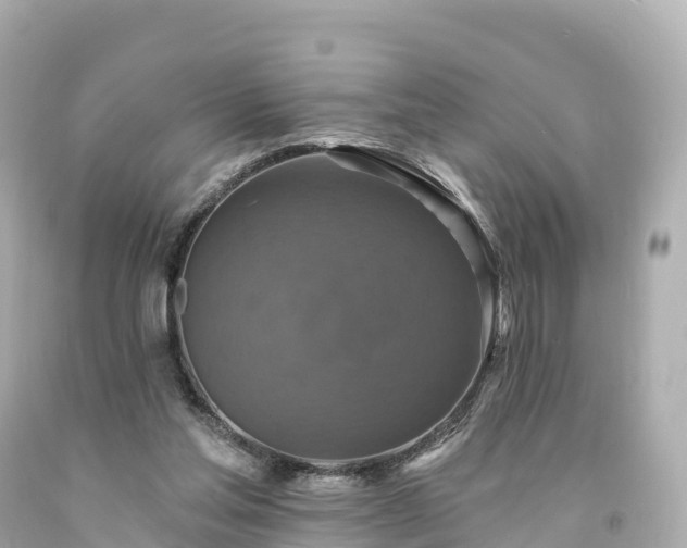 X0000094210205200711021123