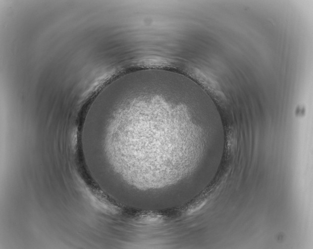 X0000094210206200711021123