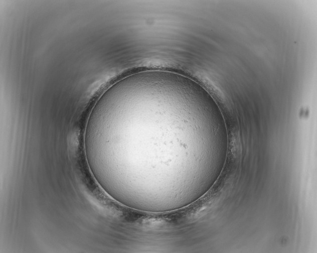 X0000094210208200711021123