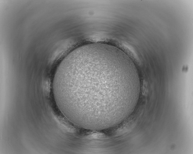 X0000094210210200711021123