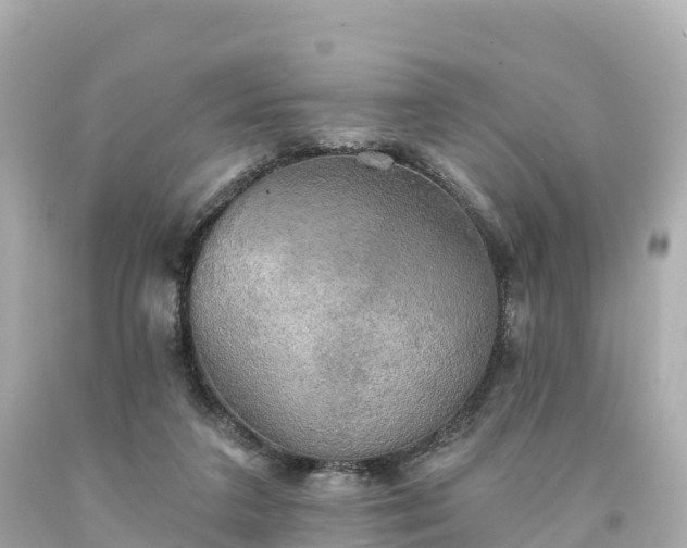 X0000094210211200711021123