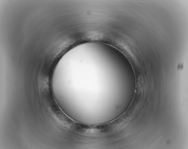 X0000094210212200711021123