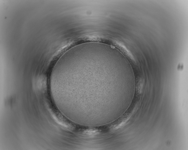 X0000094210213200711021123