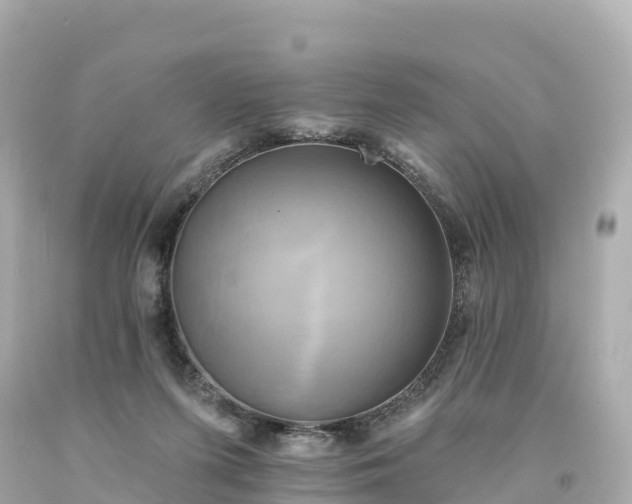 X0000094210215200711021123