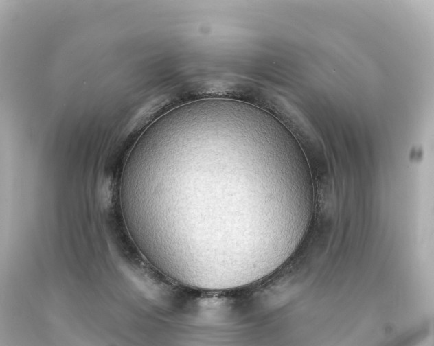 X0000094210216200711021123