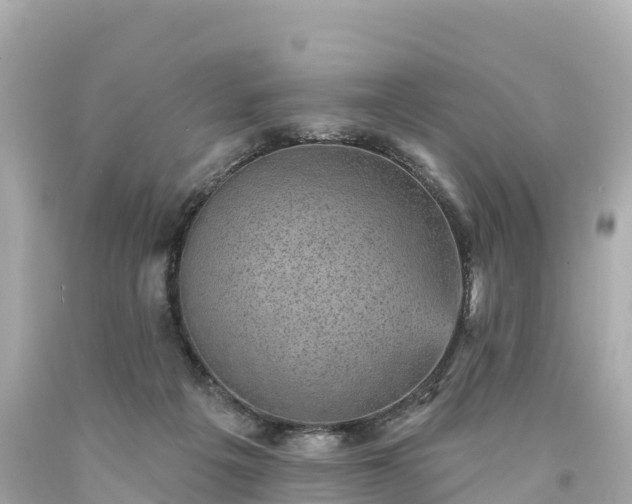 X0000094210217200711021123