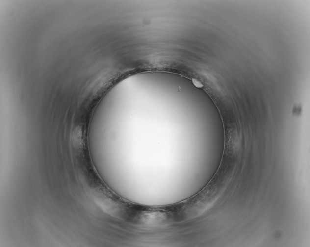 X0000094210220200711021123