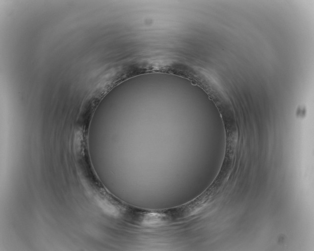 X0000094210222200711021123