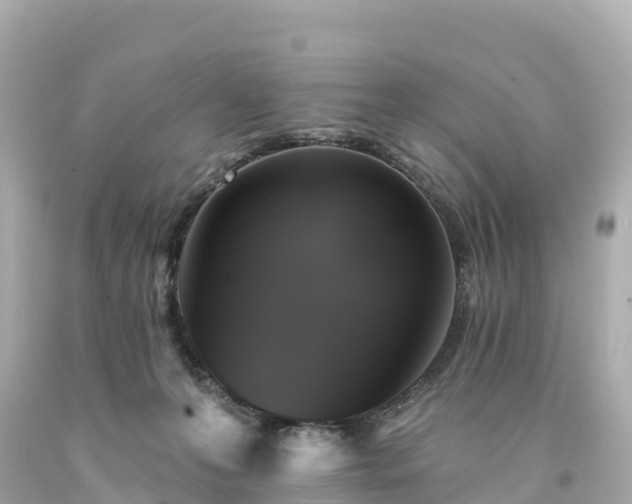 X0000094210223200711021123