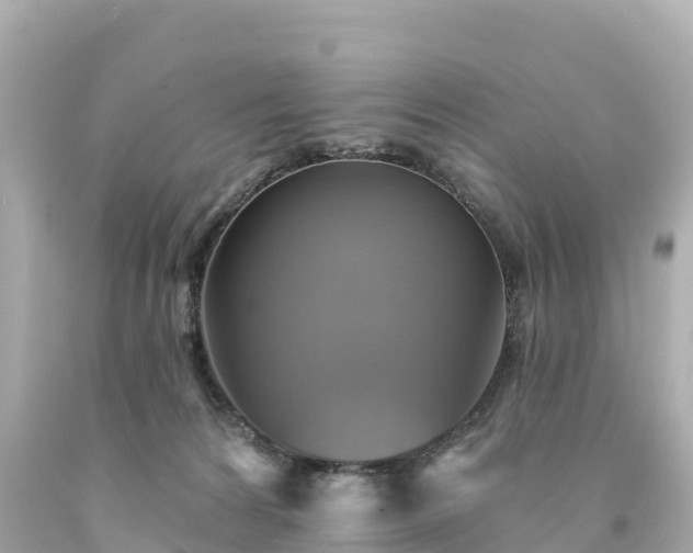 X0000094210224200711021123