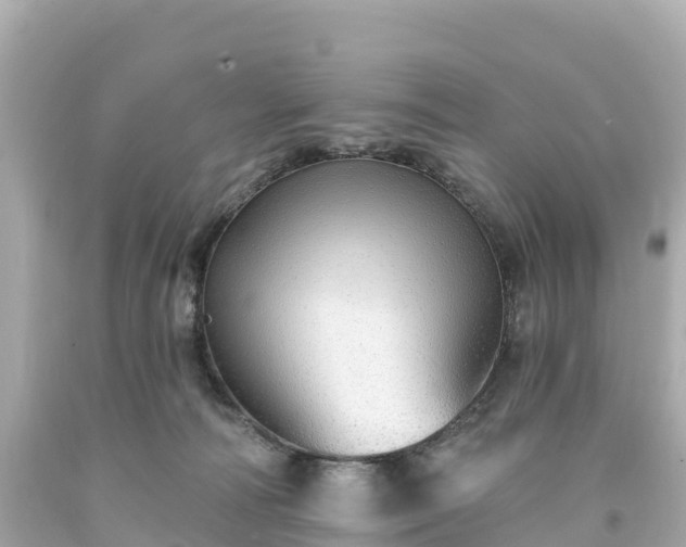X0000094210226200711021123