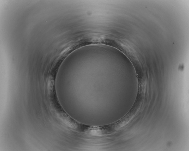 X0000094210228200711021123