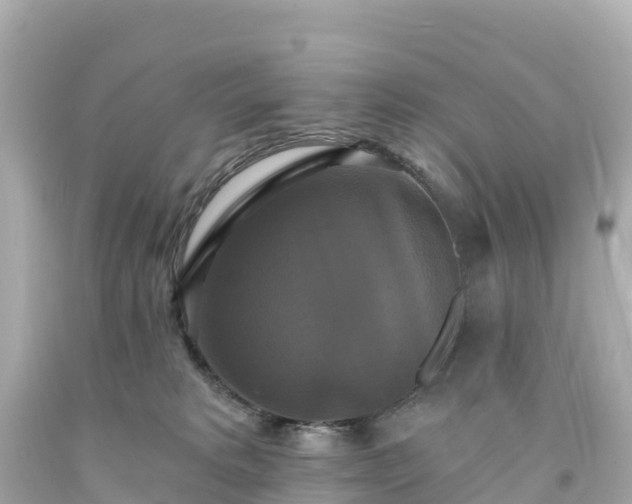 X0000094210229200711021123