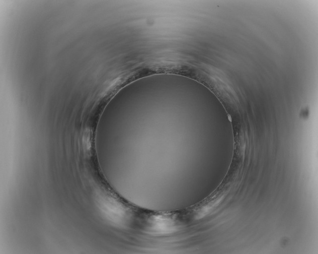 X0000094210232200711021123