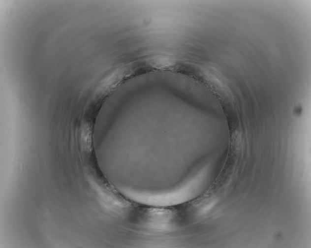 X0000094210234200711021123