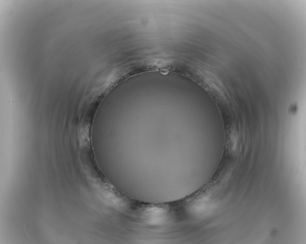 X0000094210236200711021123
