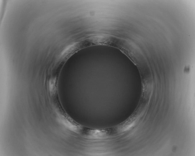 X0000094210239200711021123
