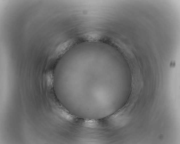 X0000094210240200711021123