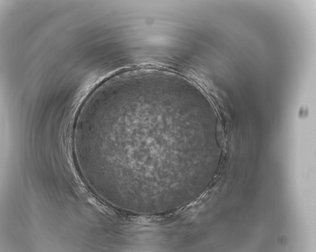 X0000094210241200711021122