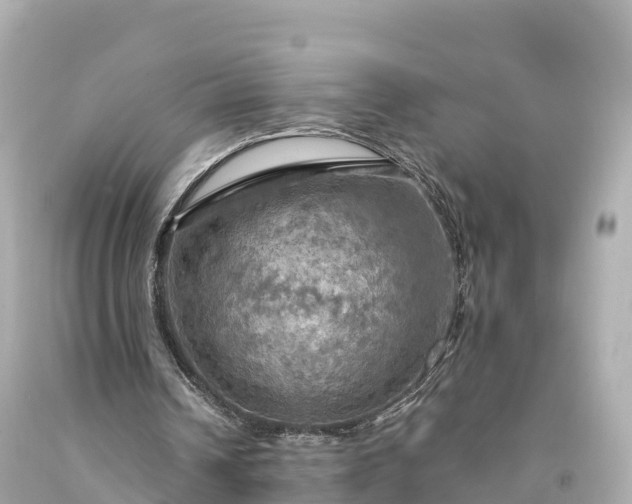 X0000094210242200711021122