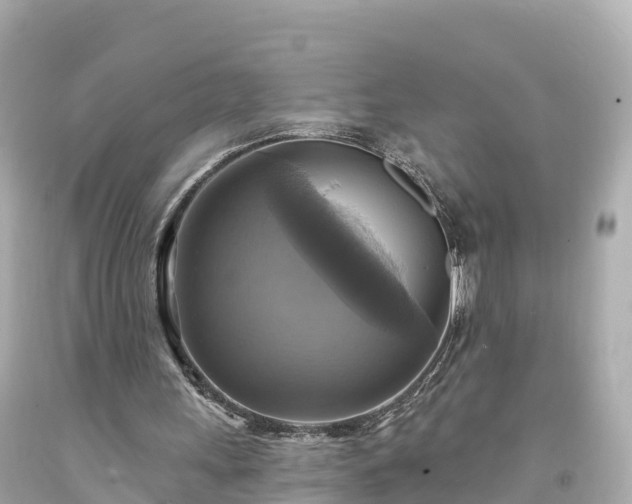 X0000094210243200711021122