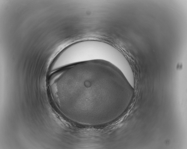 X0000094210244200711021122