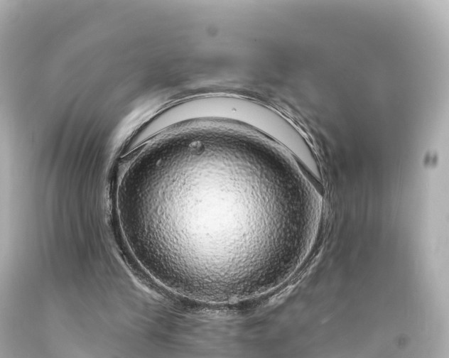 X0000094210245200711021122