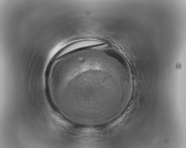 X0000094210246200711021122