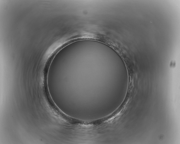 X0000094210247200711021122