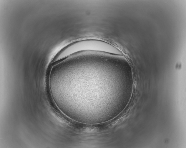 X0000094210248200711021122