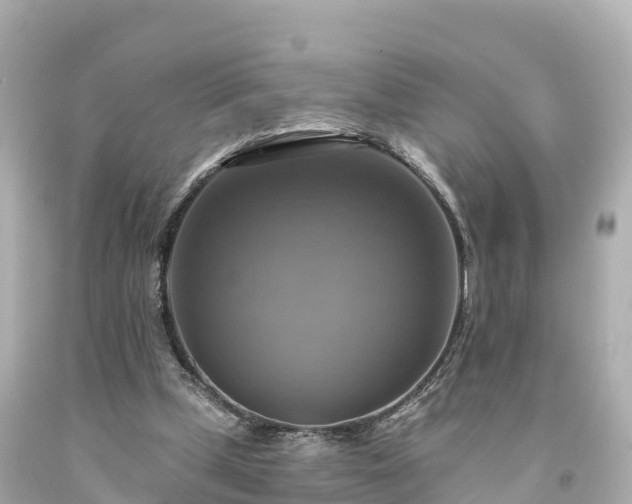 X0000094210249200711021122