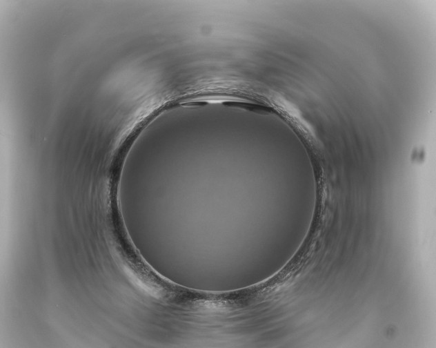 X0000094210250200711021122