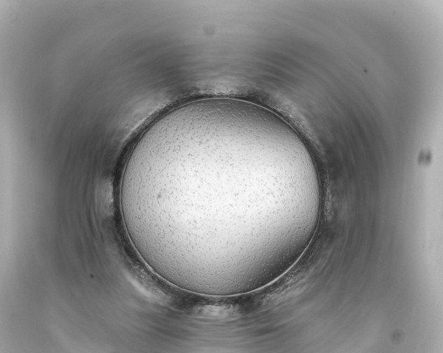 X0000094210251200711021122