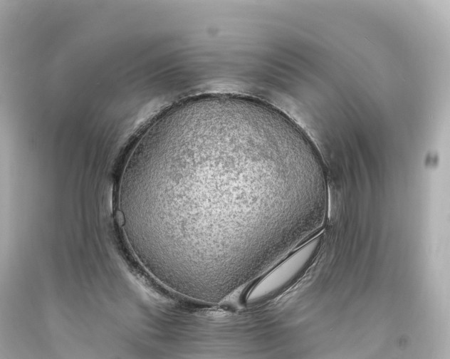 X0000094210253200711021122