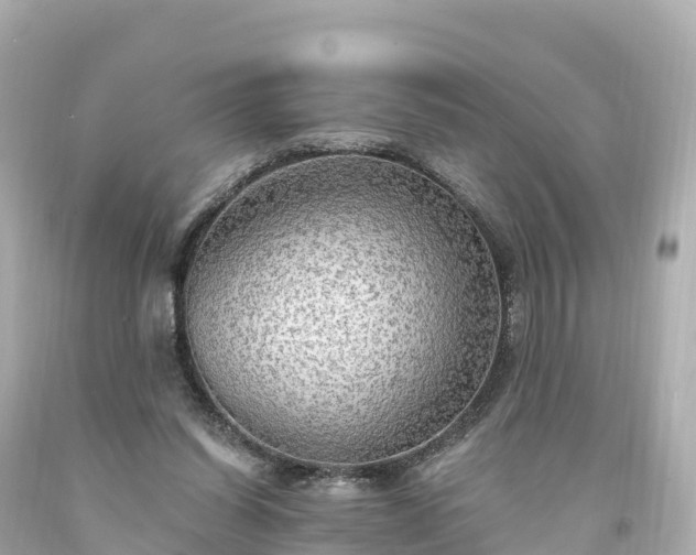 X0000094210254200711021122