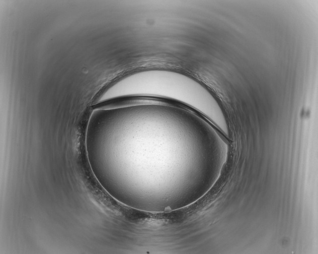 X0000094210255200711021122